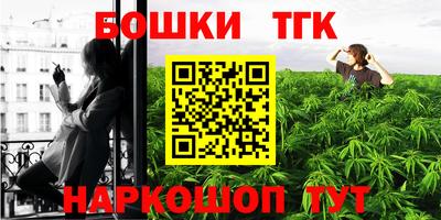 прущие грибы Лесосибирск