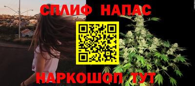 прущие грибы Лесосибирск