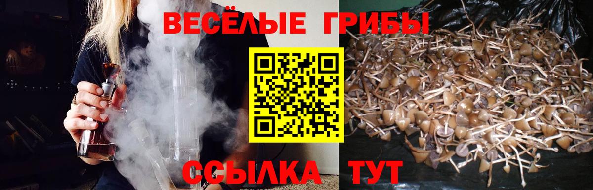 Псилоцибиновые грибы Psilocybine cubensis Воскресенск